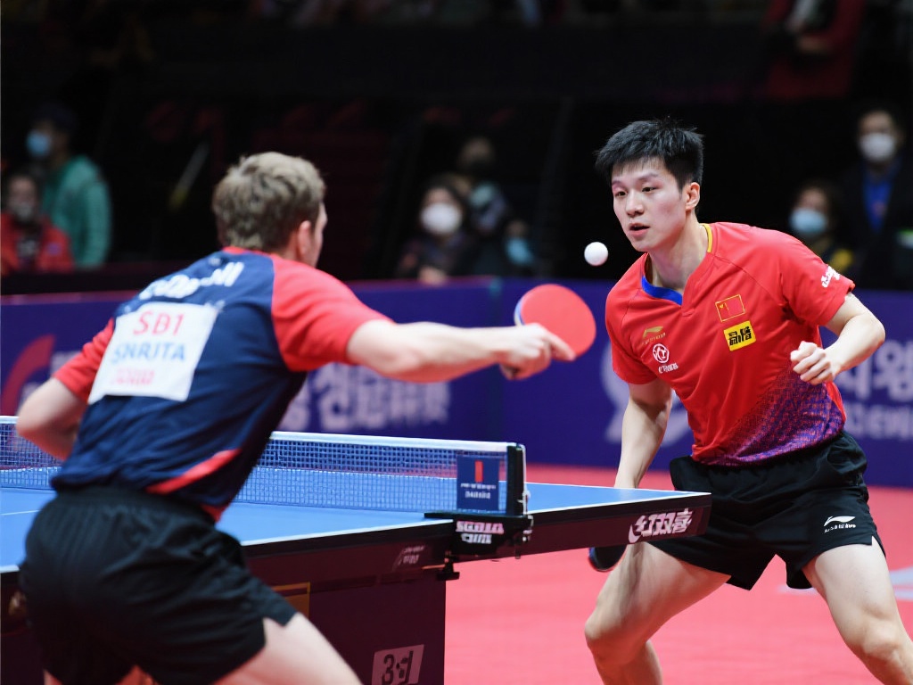 早稻田大学 早稻田大学